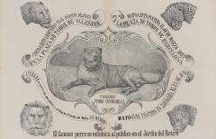 Famoso Perro Invencible. 1883; 73 x 48 cm. ES.462508.ADPV/Carteles de circo/ Sig. IX.1 caja 34, legajo 94.02