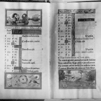 FRANCISCO SANCHIS MUÑOZ  Calendario del mes de junio, en el Libro de Horas del conde duque de Olivares, anónimo de la escuela de Brujas, del siglo XVI, en el colegio del Corpus Christi de Valencia. 1950.  ES.462508.ADPV/Colección Sanchis, imagen nº 01324