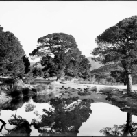 CARLOS SARTHOU CARRERES. Vista parcial de los alrededores de la cartuja de Porta Coeli. Serra. 1927. ES.462508.ADPV/Colección Sarthou, imagen nº 01589
