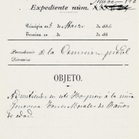 Expedient d'admissió en l'Hospici de la xiqueta Genoveva Torres Morales de 14 anys d'edat. 1886. ES.462508.ADPV/Misericòrdia/a.2.3.2 caixa 2